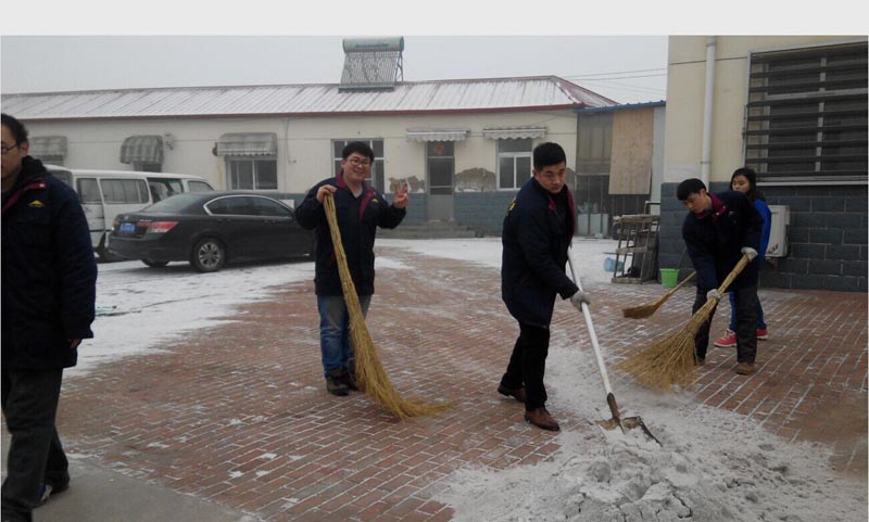 新年掃雪活動 新年掃雪活動