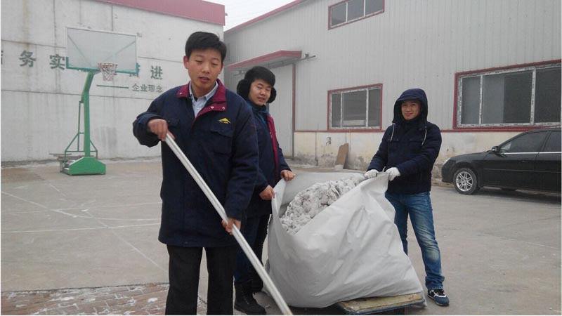 新年掃雪活動 新年掃雪活動